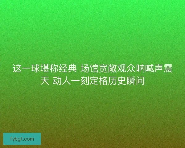 这一球堪称经典 场馆宽敞观众呐喊声震天 动人一刻定格历史瞬间
